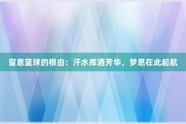 留意篮球的根由：汗水挥洒芳华，梦思在此起航