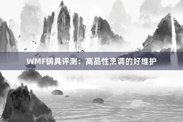 WMF锅具评测：高品性烹调的好维护